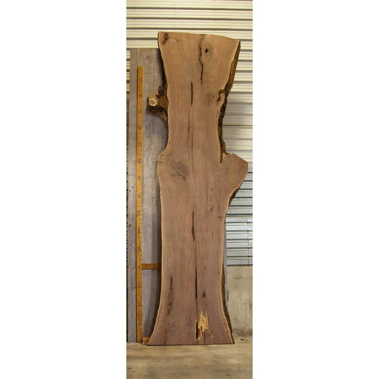 Huge Walnut Slab 2.75"x43.5"x220"
