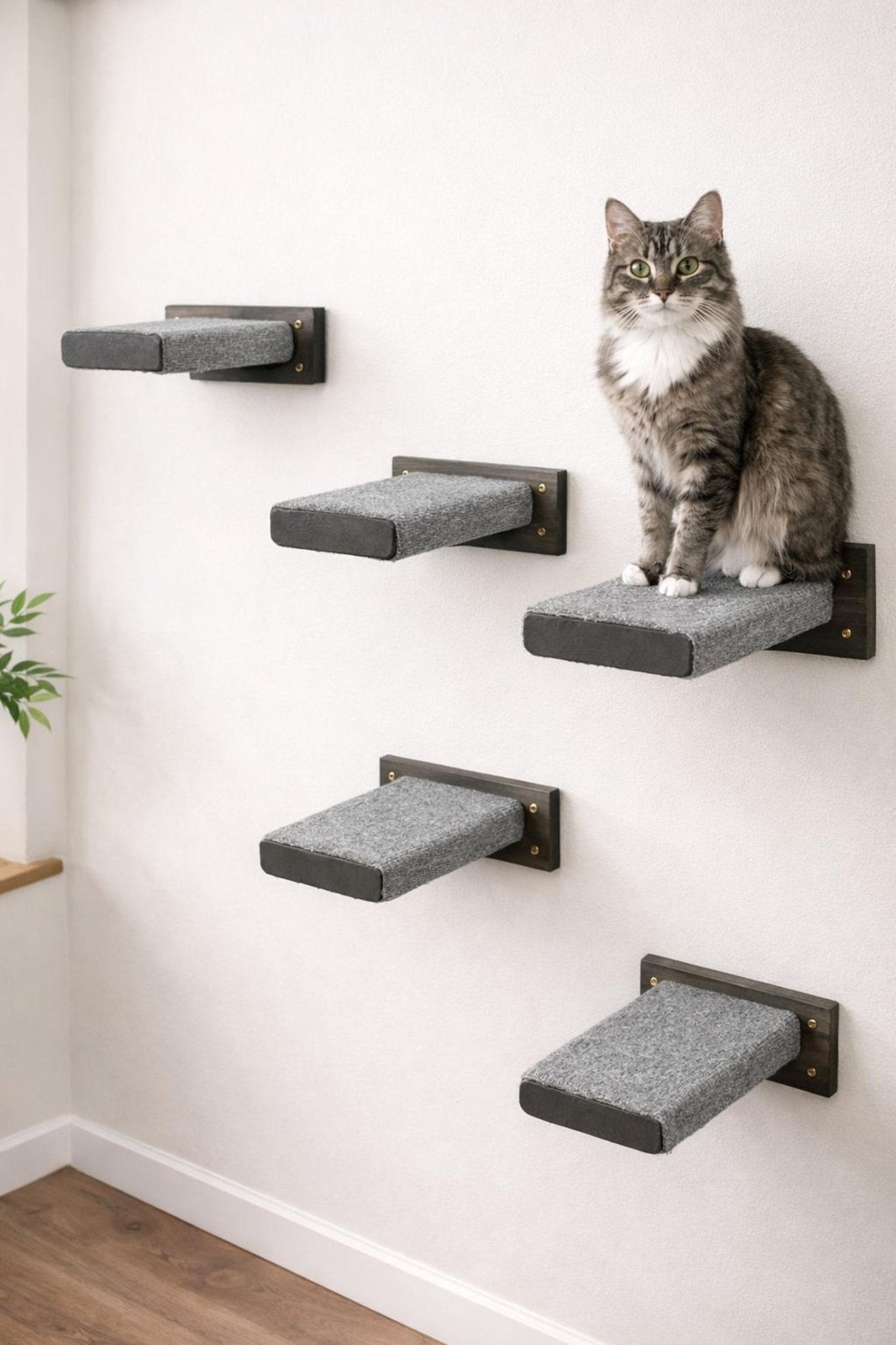 Cat Wall Climbing Blocks 3 Pack Vertical Play Path - Stumps Custom Wood