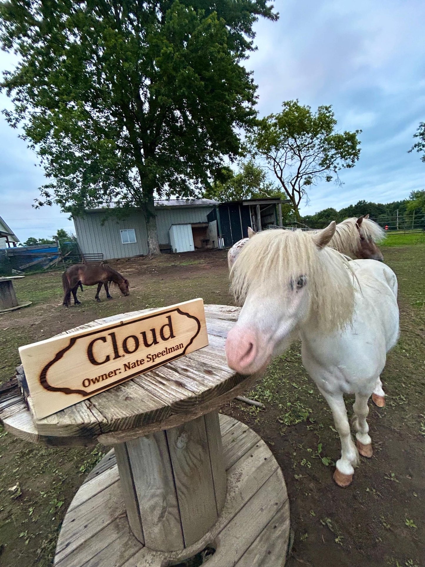 Custom Horse Stall Name Sign: Personalized Rustic Barn Plaque - Stumps Custom Wood