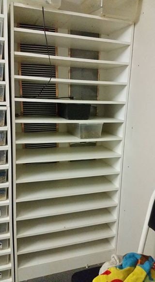 Assembled 16qt PVC Reptile Rack: Ball Python Snake Enclosure