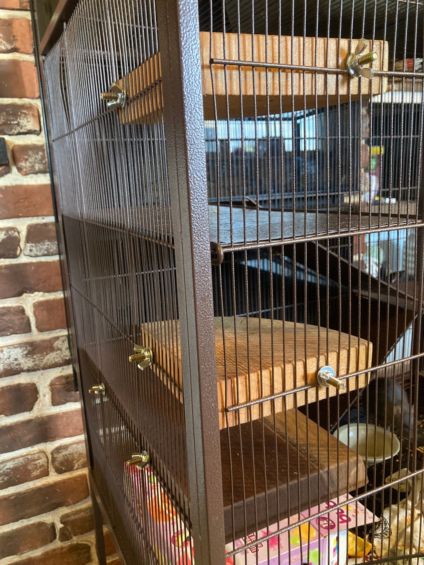 Natural Walnut Round Ledge: Rodent Cage Accessories