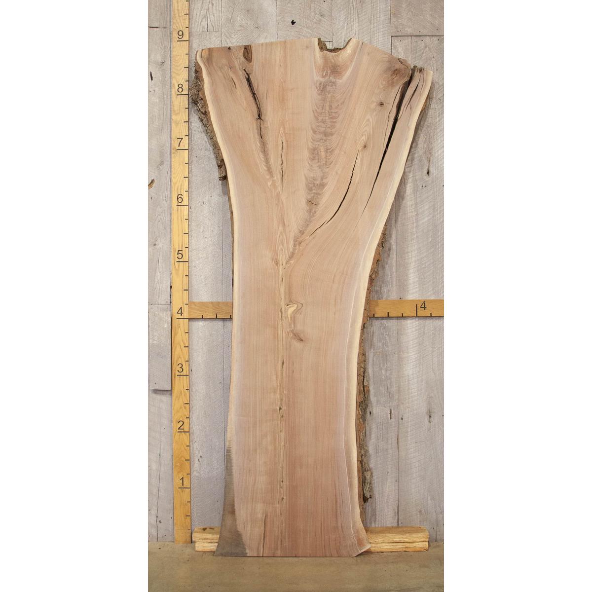 Large Live Edge Walnut Slab: Kiln-Dried Hardwood Lumber (107")