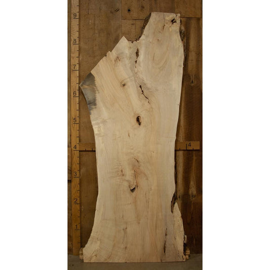 Live Edge Soft Maple Slab: Kiln-Dried Light-Toned Hardwood (2.3"x44"x108")