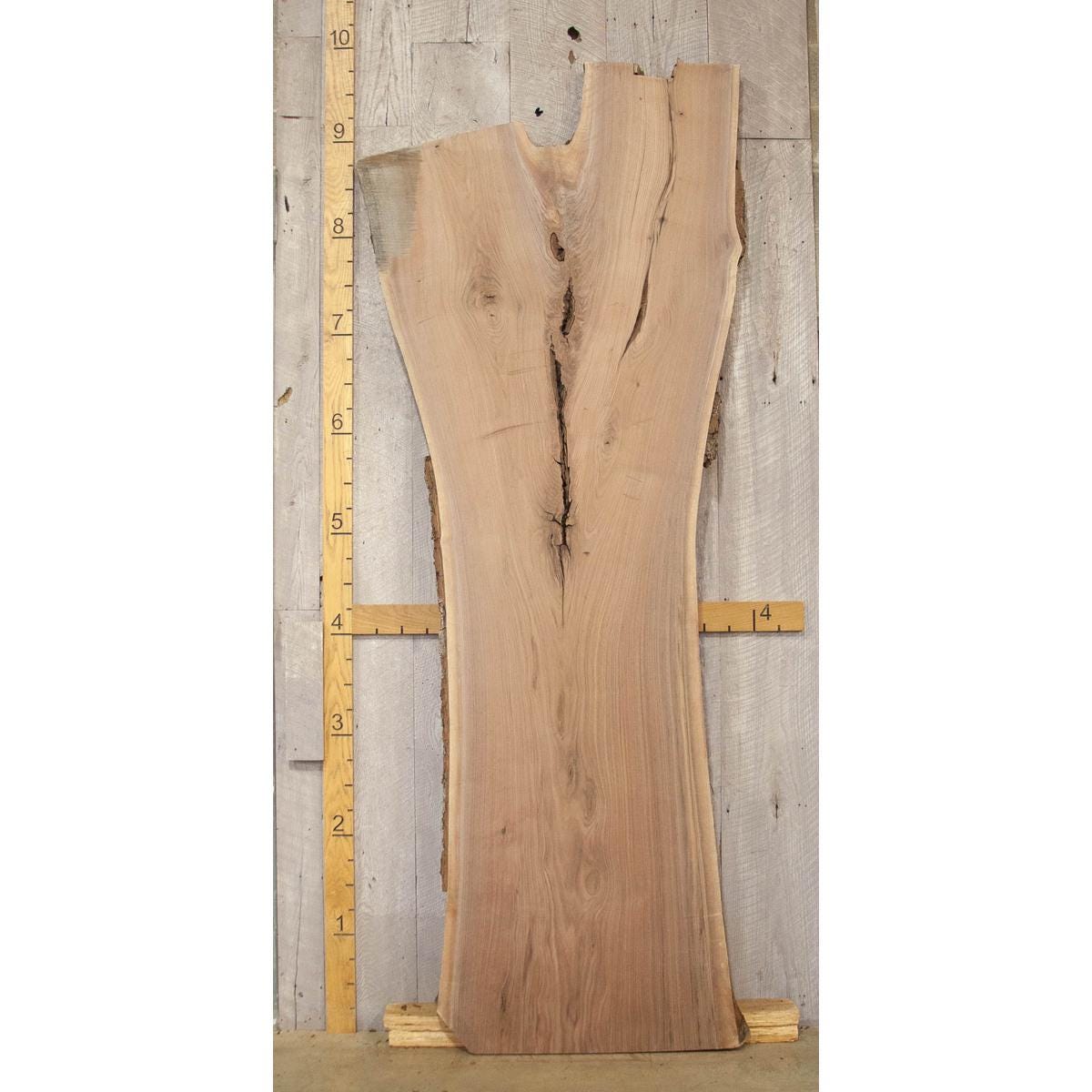 Live Edge Walnut Slab: Kiln-Dried Hardwood Lumber (2.5"x43"x109")