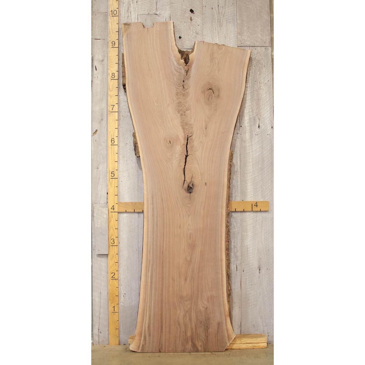 Live Edge Walnut Slab: Kiln-Dried Hardwood Lumber (2.5"x43"x109")