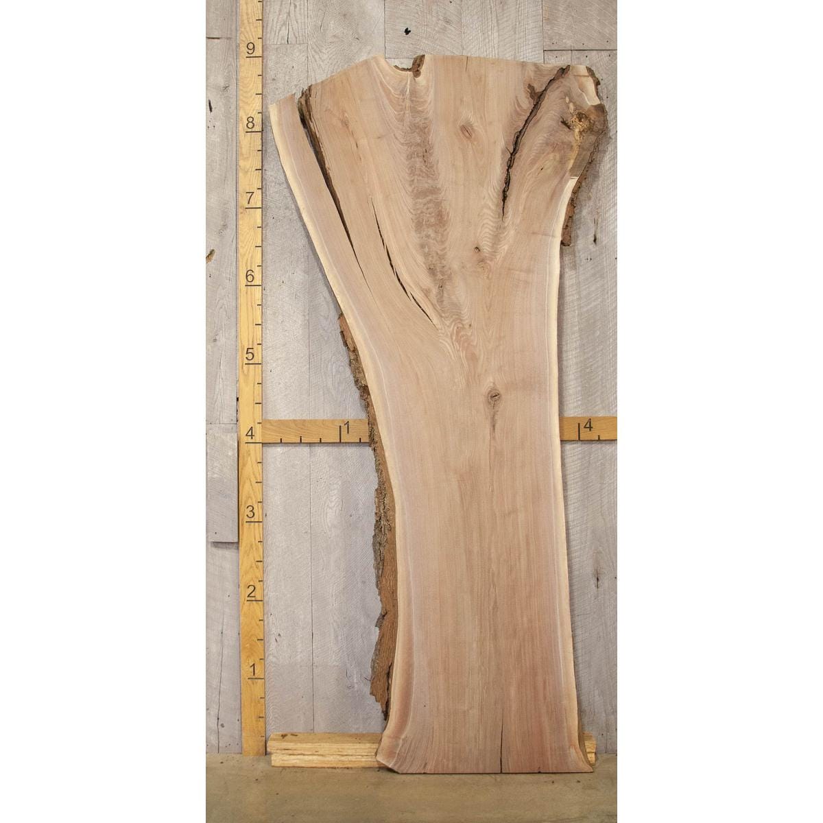 Large Live Edge Walnut Slab: Kiln-Dried Hardwood Lumber (107")