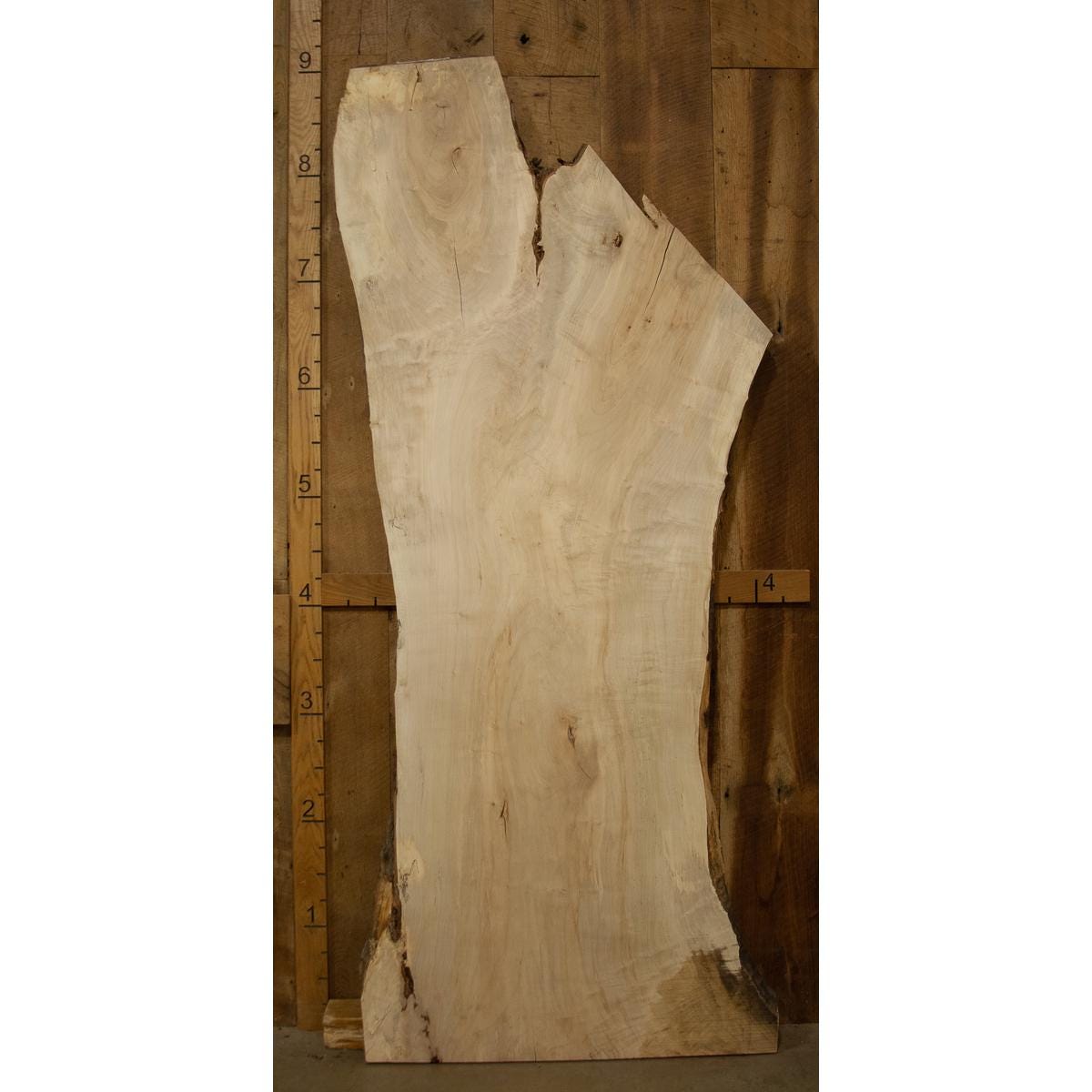 Live Edge Soft Maple Slab: Kiln-Dried Light-Toned Hardwood (2.3"x44"x108")