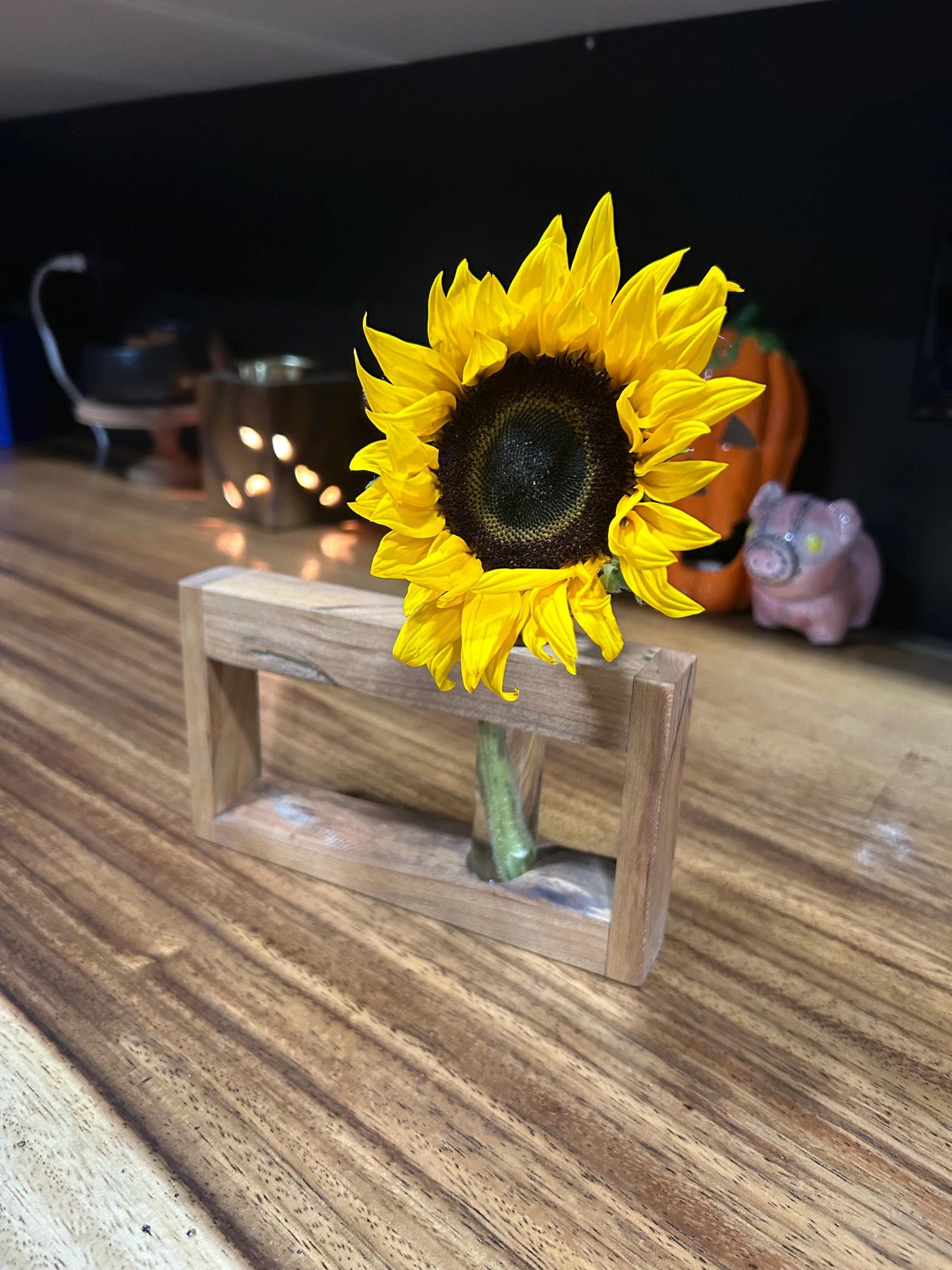 Rustic Live Edge Propagation Station | Handmade Wooden Plant Tube Holder & Botanical Decor Gift