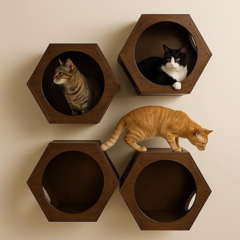 modern floating cat shelf | Wall Mounted Hut - Stumps Custom Wood
