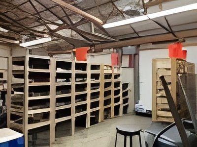 Space - Saving Rolling Rat Breeding Racks | Fully Assembled - Stumps Custom Wood