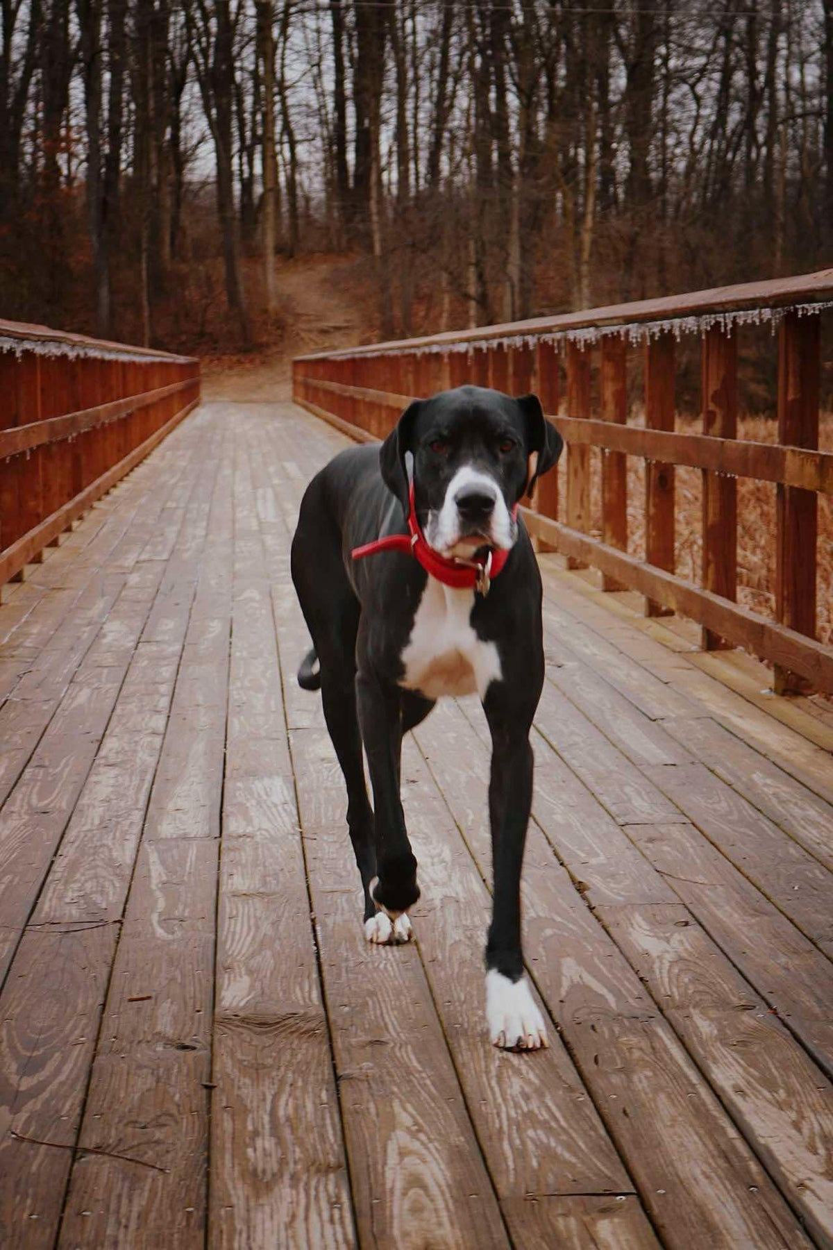 Modern Sliding Pocket Gate – Custom Baby & Pet Safety Gate – Stumps ...