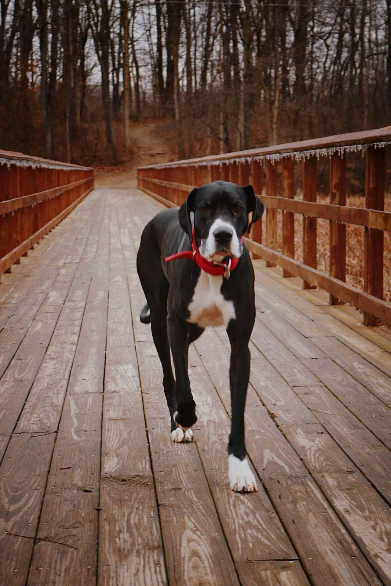 Extras – Unique Finds, Add-Ons & Useful Items