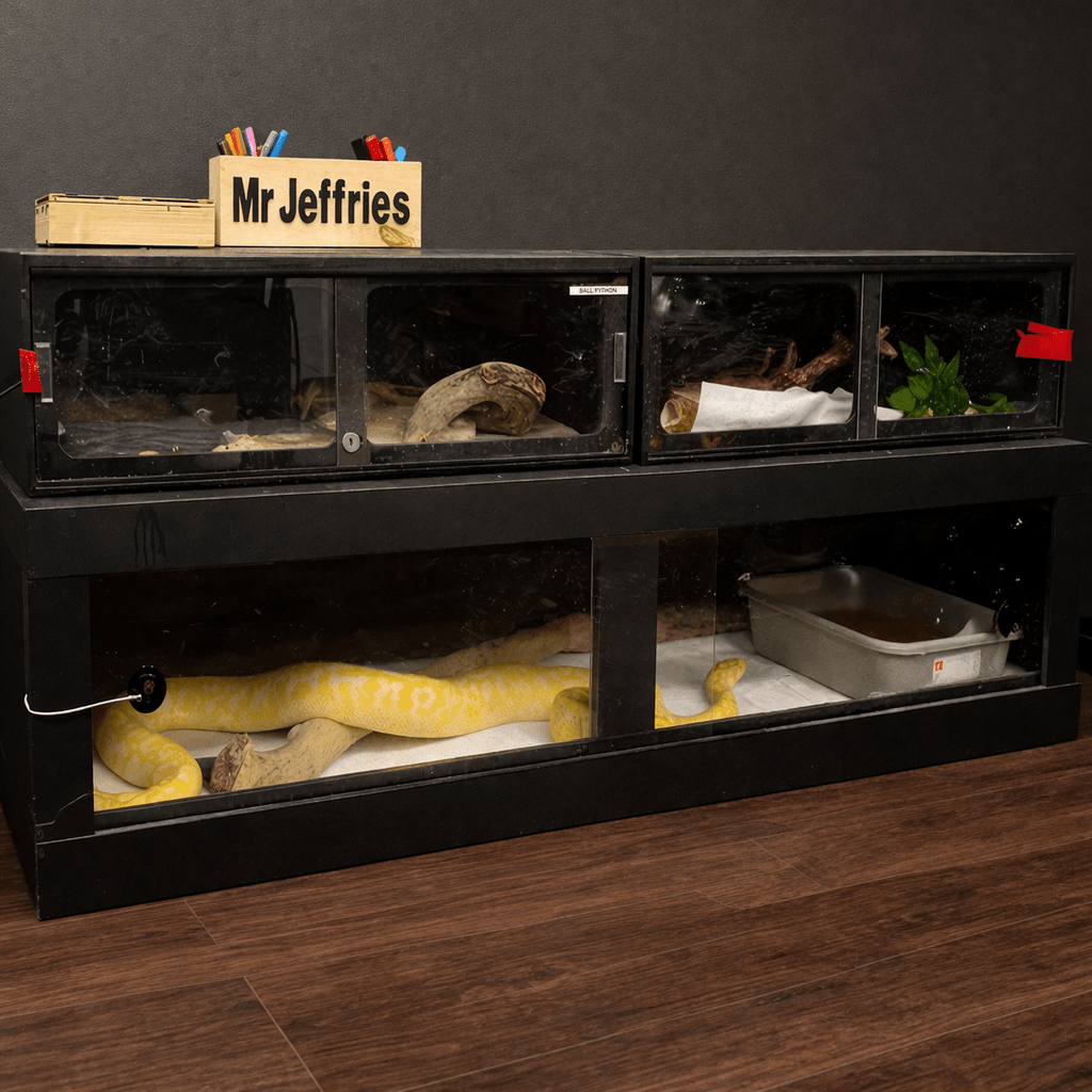 High Humidity Snake Rack High Humidity Reptile Enclosures for Tropical Habitats – Stumps Custom Wood