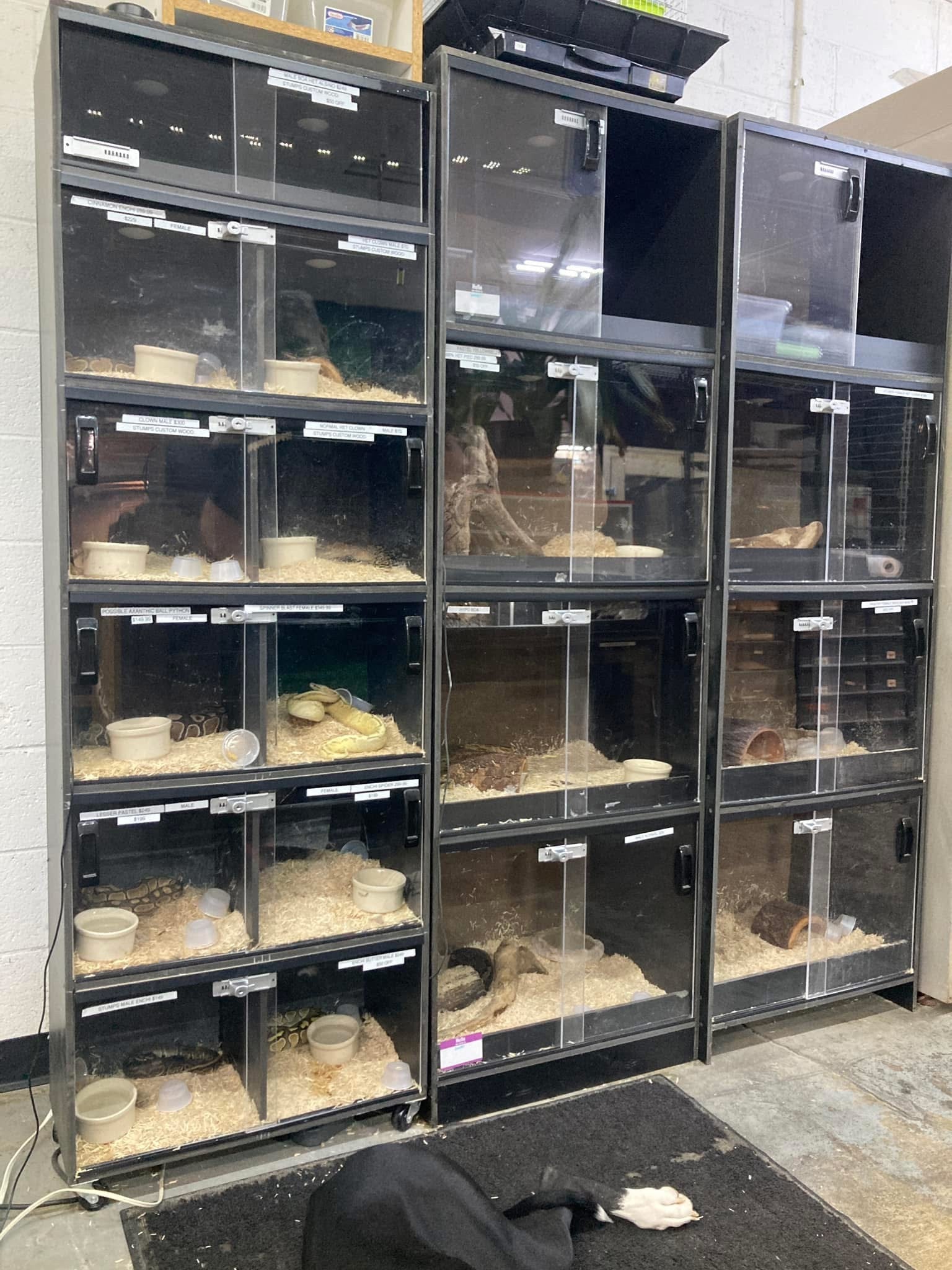 Stackable Reptile Enclosures | Modular Habitat Systems – Stumps Custom Wood