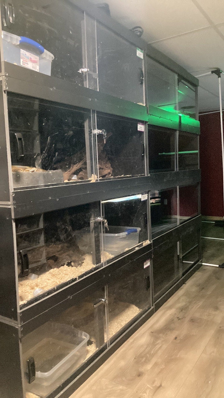 10ft bioactive PVC reptile enclosure - Stumps Custom Wood