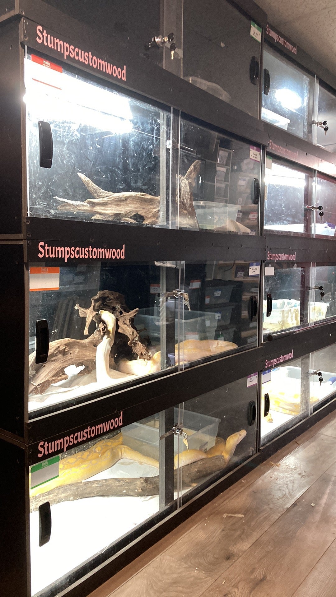 4 Foot Black Bioactive PVC Reptile Enclosure - Stumps Custom Wood