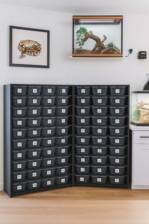 6qt hatchling reptile rack | Hatchling Shelf - Stumps Custom Wood