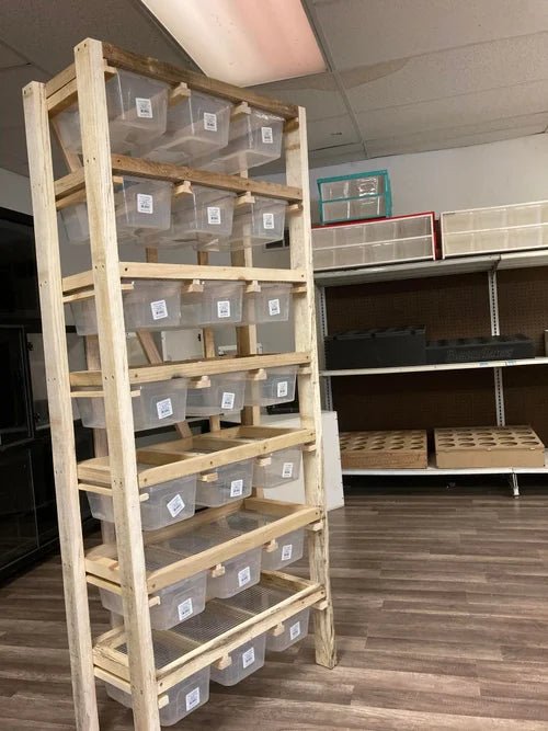 6qt Maternity Ward Rat & Mice Breeding Rack | Rolling Rodent System - Stumps Custom Wood