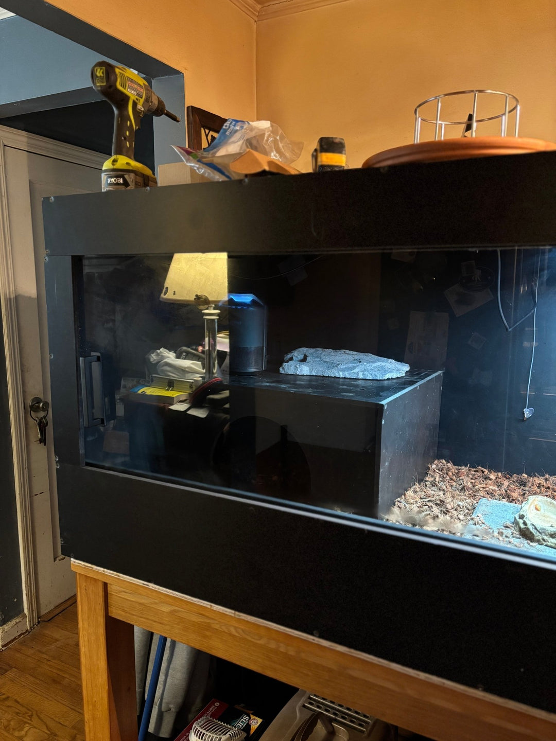 72" Black PVC Reptile Enclosure: Bioactive Habitat for Pythons - Stumps Custom Wood