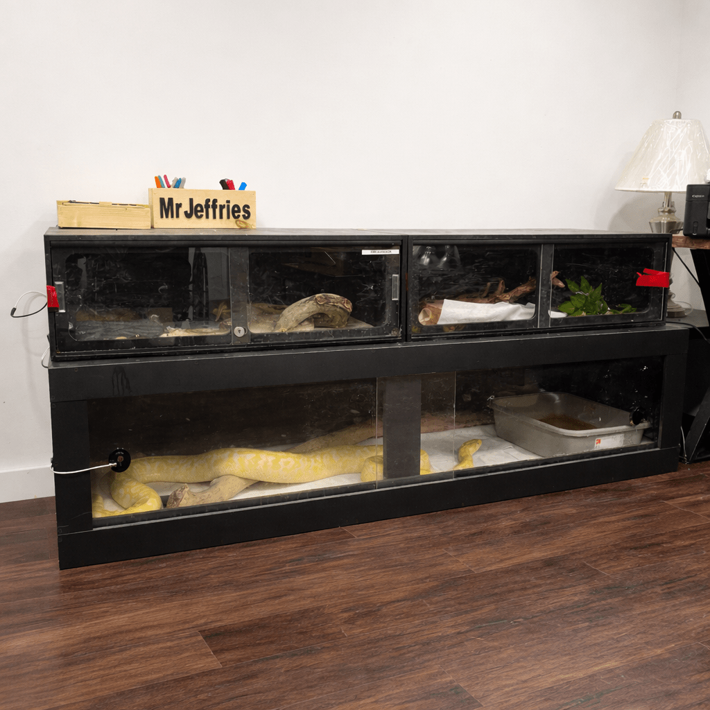8 Ft Black Bioactive PVC Reptile Enclosure – 96" Habitat - Stumps Custom Wood