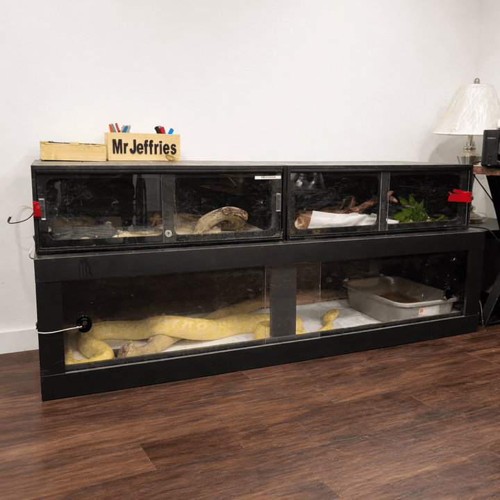8 Ft Black Bioactive PVC Reptile Enclosure – 96" Habitat - Stumps Custom Wood