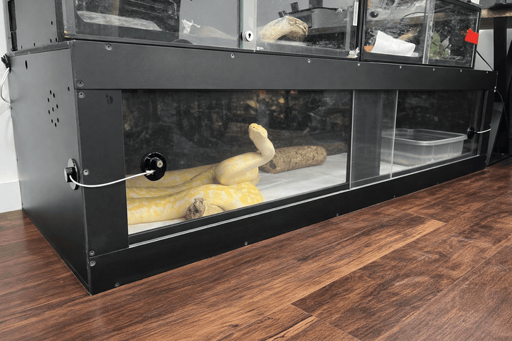 8 Ft Black Bioactive PVC Reptile Enclosure – 96" Habitat - Stumps Custom Wood