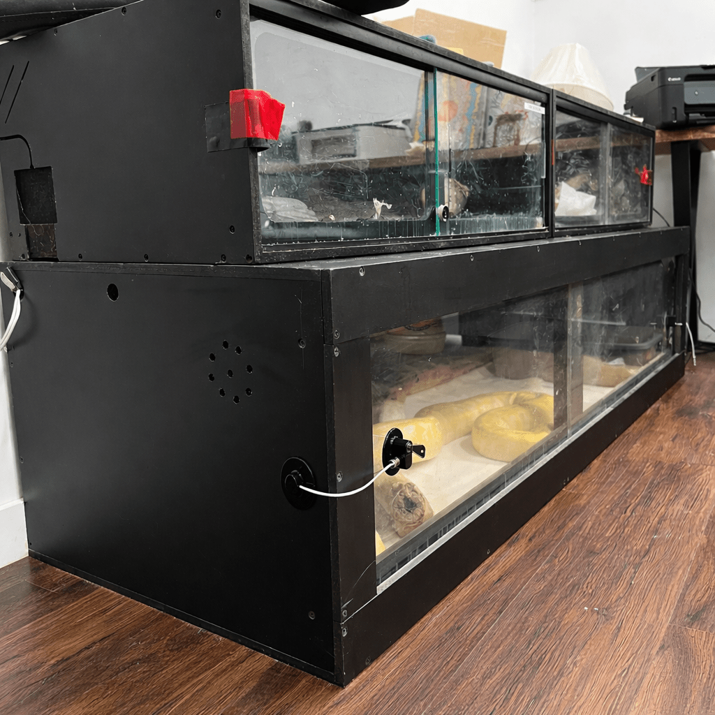 8 Ft Black Bioactive PVC Reptile Enclosure – 96" Habitat - Stumps Custom Wood