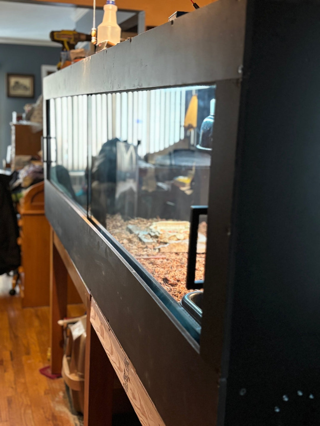 8 Ft Black Bioactive PVC Reptile Enclosure – 96" Habitat - Stumps Custom Wood