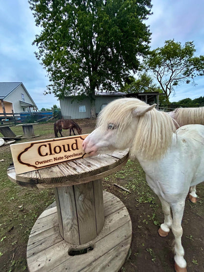 Custom Horse Stall Name Sign: Personalized Rustic Barn Plaque - Stumps Custom Wood