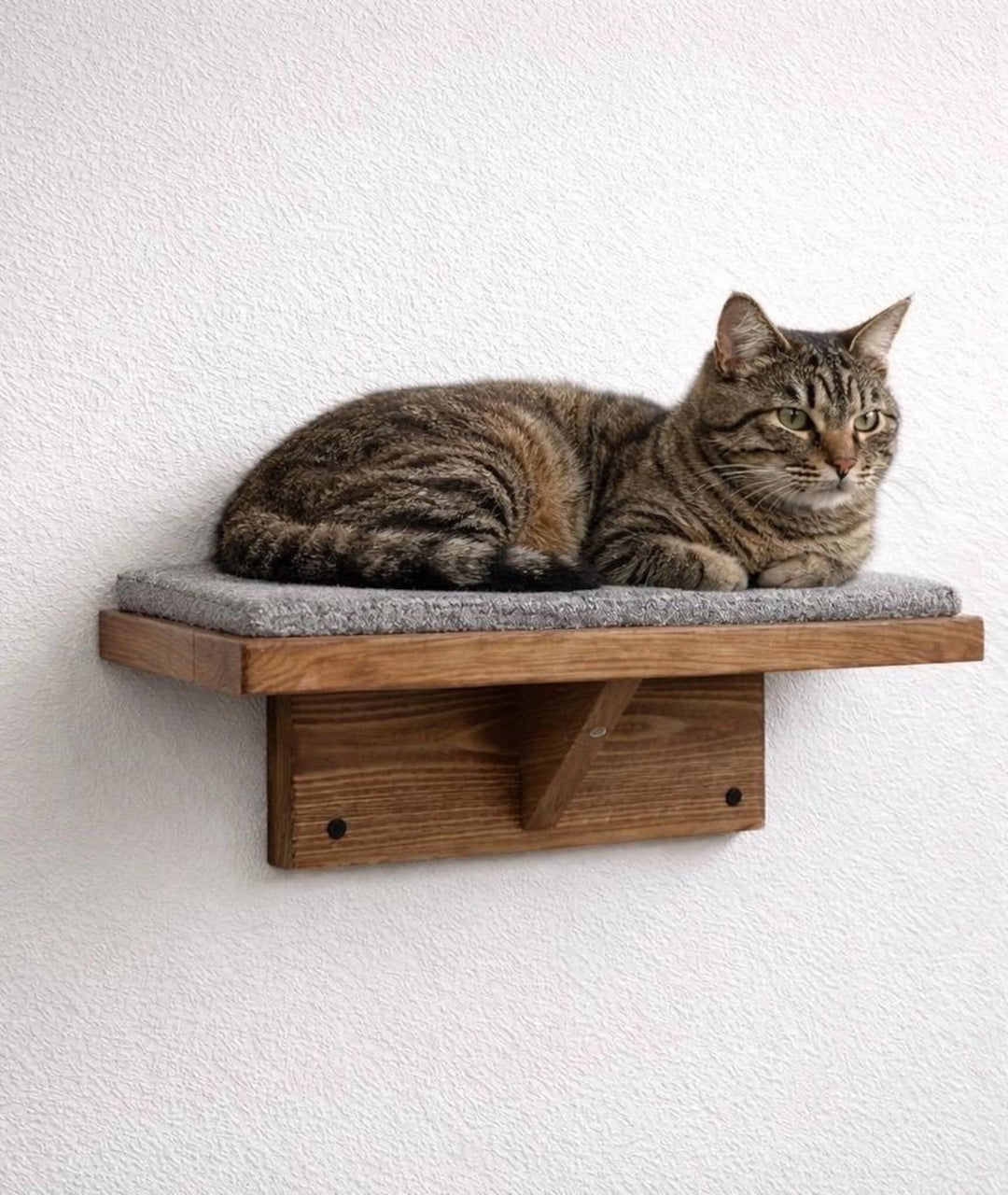 Floating Cat Wall Perch Ledge With Carpet Grip - Stumps Custom Wood