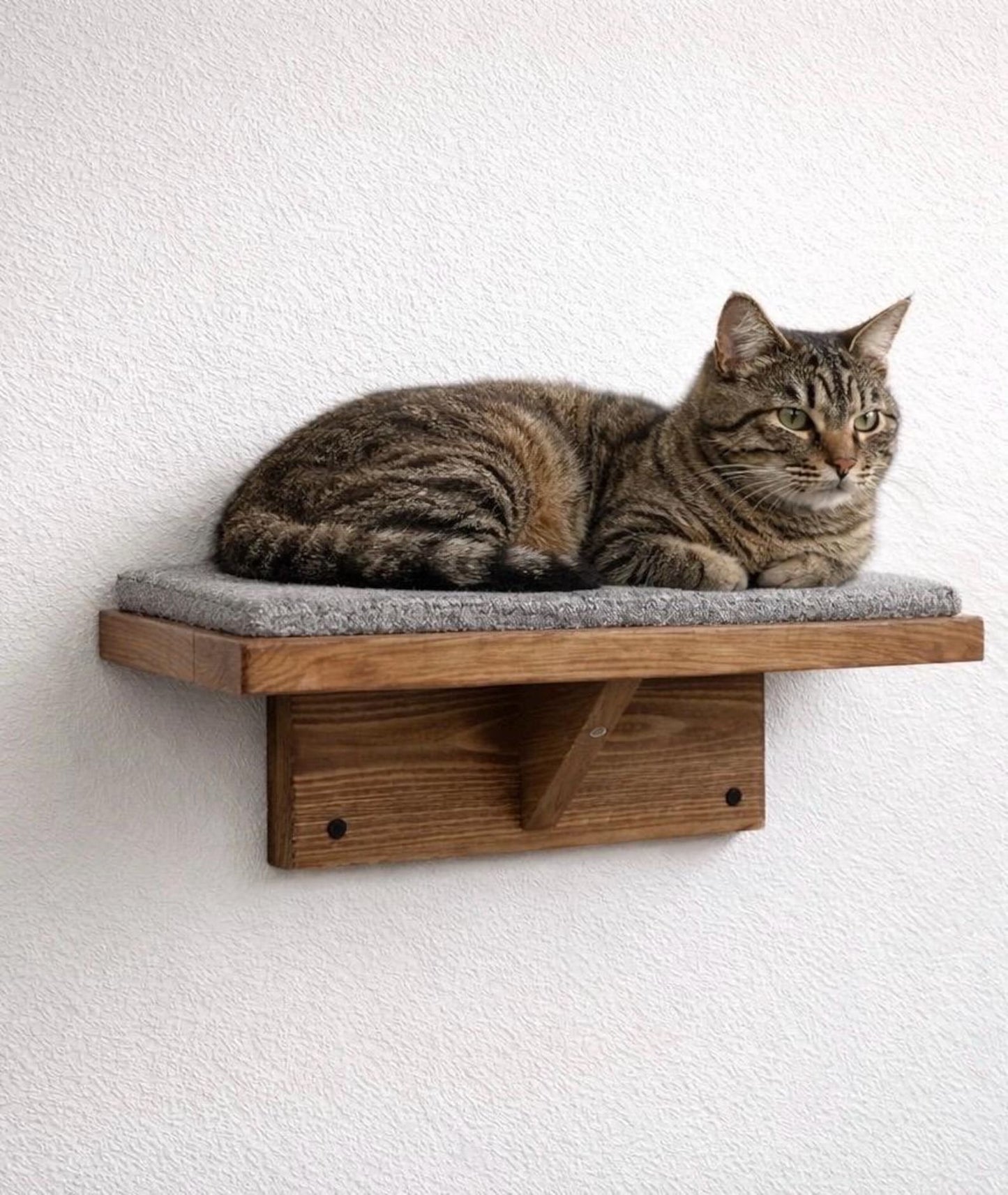 Floating Cat Wall Perch Ledge With Carpet Grip - Stumps Custom Wood