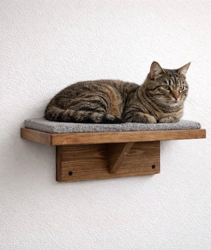 Floating Cat Wall Perch Ledge With Carpet Grip - Stumps Custom Wood