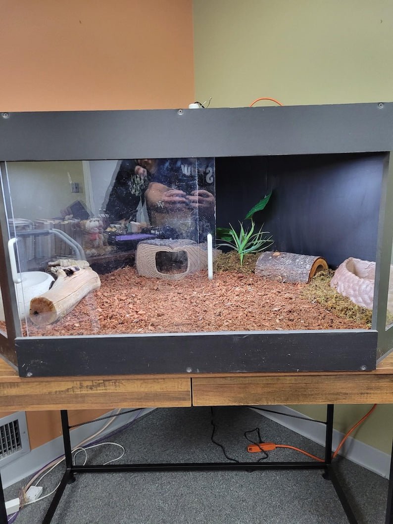 black PVC reptile enclosure showcasing a bioactive habitat with wood and plants for displaying reptiles.