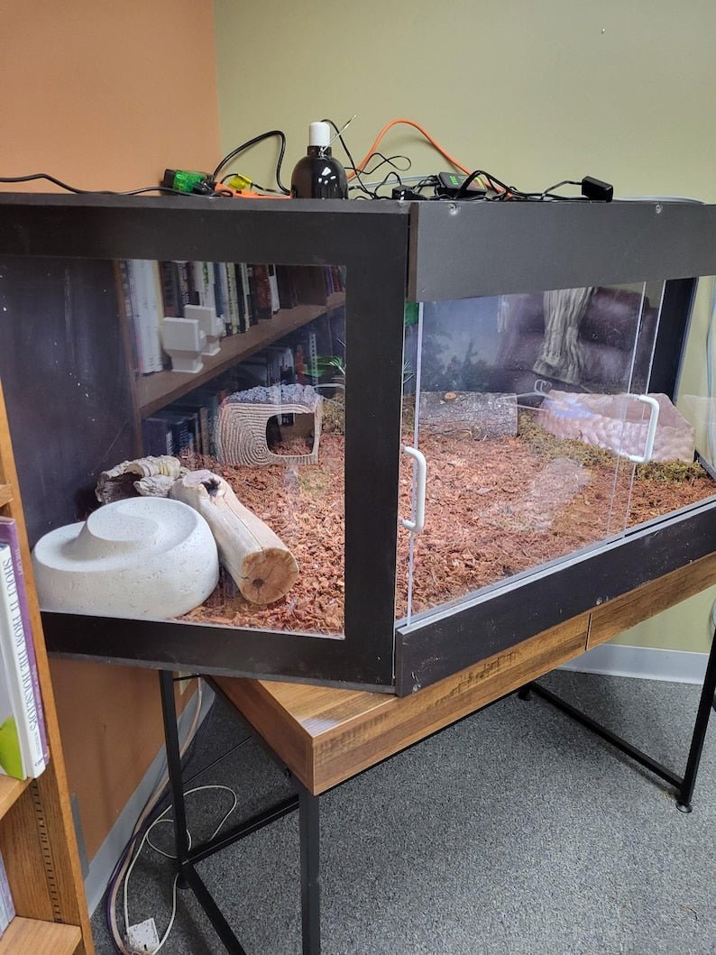 black PVC reptile enclosure showcasing a bioactive habitat with decorative elements and ample space.