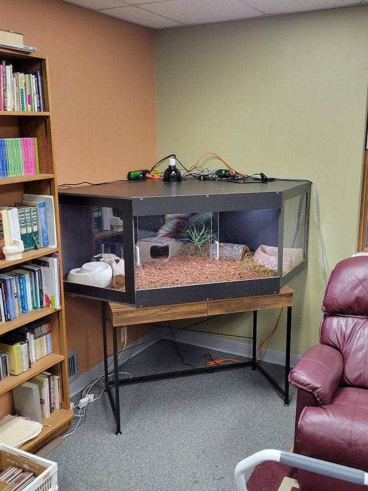 black PVC reptile enclosure in a cozy room, designed for displaying reptiles with excellent humidity control.