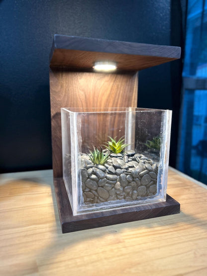 Handmade Walnut Rimless Terrarium: Modern Glass Cube Planter - Stumps Custom Wood