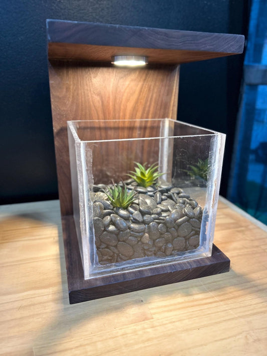 Handmade Walnut Rimless Terrarium: Modern Glass Cube Planter - Stumps Custom Wood