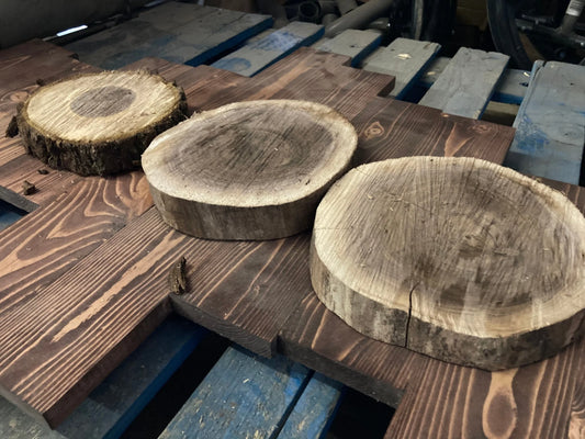 10”+ Walnut Tree Slices