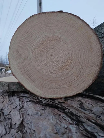 Rustic Wood Slices 1.5” Thick