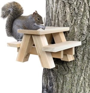 Squirrel Feeder Picnic Table | Handmade Wooden Rodent Feeder for Backyard & Garden