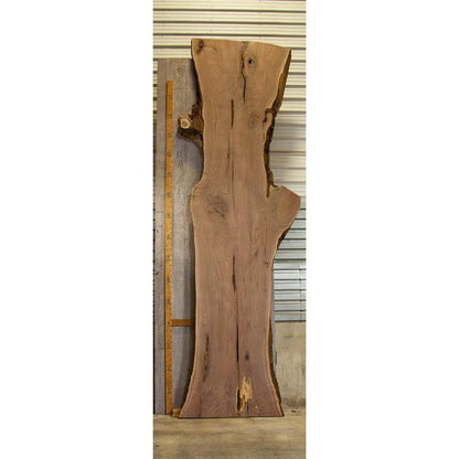 Huge Walnut Slab 2.75"x43.5"x220" - Stumps Custom Wood