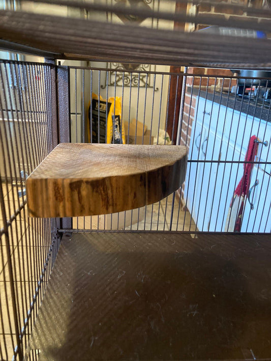 Natural Walnut Round Ledge: Rodent Cage Accessories