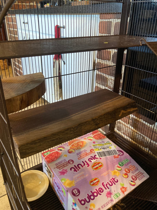 Natural Walnut Round Ledge: Rodent Cage Accessories