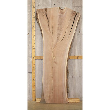Large Live Edge Walnut Slab: Kiln-Dried Hardwood Lumber (107")