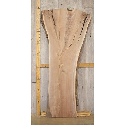 Large Live Edge Walnut Slab: Kiln-Dried Hardwood Lumber (107")