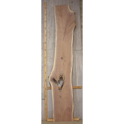 Live Edge Walnut Slab: Kiln-Dried Hardwood Lumber (1.94"x34.75"x185")