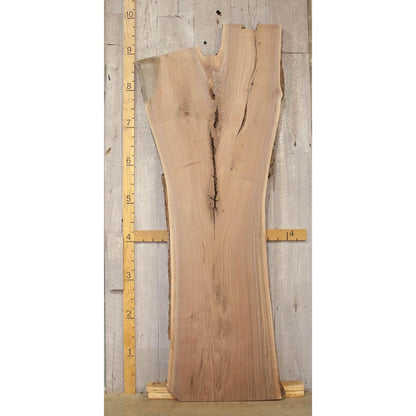 Live Edge Walnut Slab: Kiln-Dried Hardwood Lumber (2.5"x43"x109")