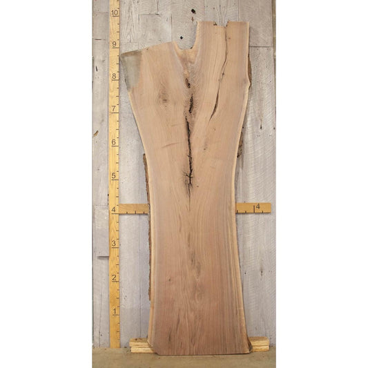 Live Edge Walnut Slab: Kiln-Dried Hardwood Lumber (2.5"x43"x109")