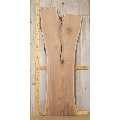 Live Edge Walnut Slab: Kiln-Dried Hardwood Lumber (2.5"x43"x109")