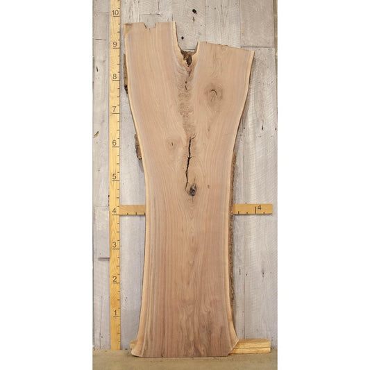 Live Edge Walnut Slab: Kiln-Dried Hardwood Lumber (2.5"x43"x109")